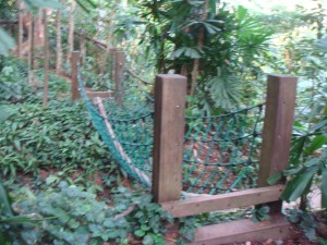 DSC05057