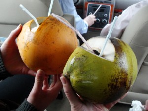 The golden coconut on the left is special to Hainan Island, but its water doesn't taste as good as the normal coconut.