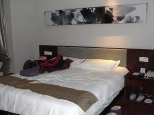 That night, we stayed at this nice hotel right across the street from my aunt's.