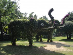 These elephants were sprouting flowers.