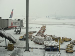 Snow in Beijing!  It was my lucky day to get to see snow in a city that rarely gets it anymore.