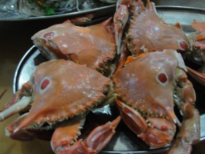 Those red dots with white outlines may look fake, but these crabs actually grow them!