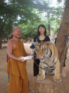 monk feeding adult tiger milk from baby bottle as we posed behind them for pictures