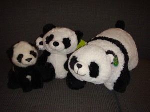 Panda family: Baby, Pete & Paulie, and Scooter.