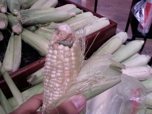 Thank goodness Panda had me completely peel all the corn before taking it home!  Poor guy got squished when the checkout lady "took care" of him.  :(