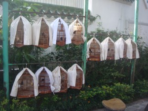 Just like grandpa's house, complete with white cloths to help the birds sleep!