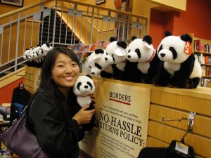 a row of TY brand panda toys in a Borders store