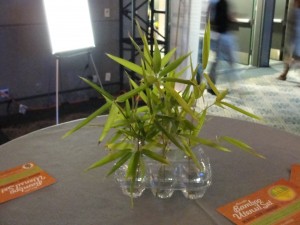 bamboo leaves in water used as decorative centerpiece