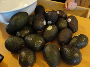 large pile of avocados