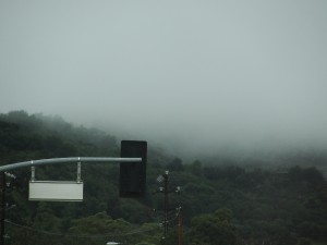 heavy fog from the rain covers hillside