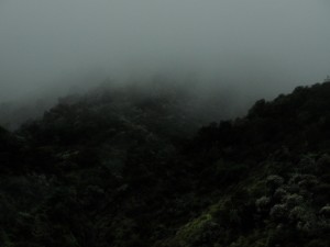 fog covering hills