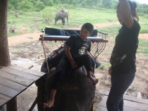 the youngest elephant driver was only a boy