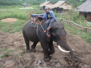 the elephant I rode arrives