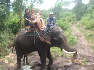 elephant standing peeing, with riders
