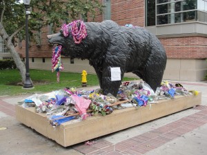bruin bear strewn with flowers commemorating the late john wooden