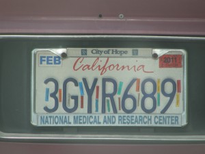 license plate decorated with sticker strips