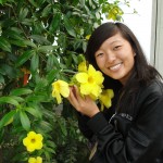 big bright yellow flowers