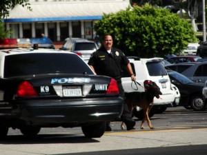 a policeman in the k9 unit brings out the canine