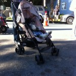 dog reclining in stroller with remote for haute dog parade 2010