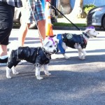 dogs dressed as bikers for haute dog parade 2010