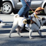dog with toy story's woody riding on back for haute dog parade 2010