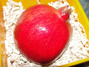 big red pomegranate