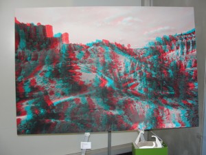 photograph of forest to be viewed with red and blue 3D glasses