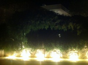 lights illuminate some water and plants decorating the getty