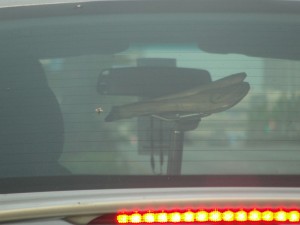 wooden bike seat poking up in back of car