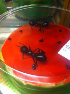 cake decorated to look like watermelon with ants on top