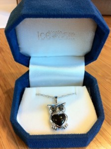 jeweled owl necklace in box