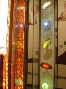 various germ types blow up and displayed as glass art