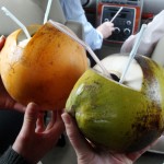 golden coconut on left and regular coconut on right