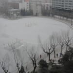 lake in park in beijing frozen over