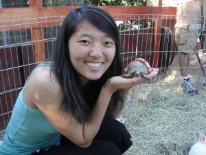 holding a tiny baby tortoise in my hand