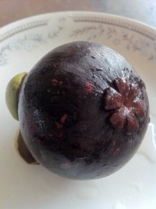 view of bottom of mangosteen fruit