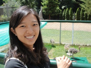 i happily stand by the fence as baby ostriches eat in the background at the california academy of sciences