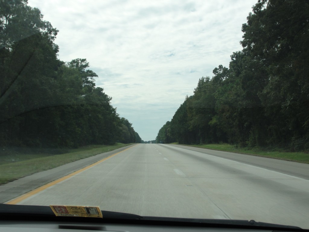 long stretch of highway in north carolina lined with trees