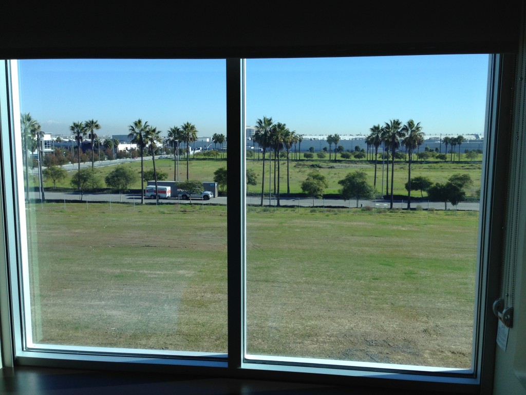 view of field and palm trees from hyatt place
