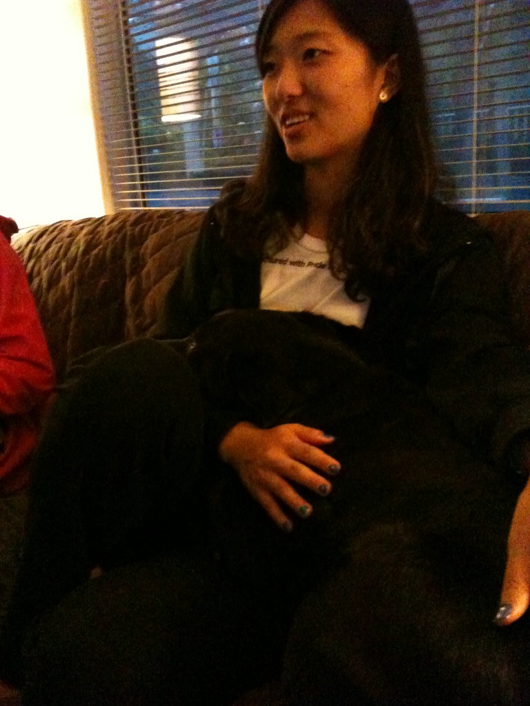 big black dog resting head on person's lap