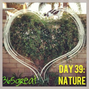 365great challenge day 39: nature