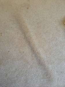 long raised bump in carpet