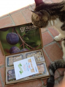 cat sniffing graze box