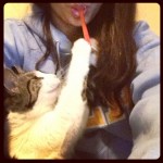 cat pawing at spoon in person's mouth