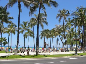 waikiki beach sand and palm trees