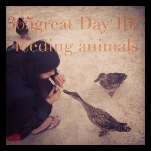 365great challenge day 107: feeding animals