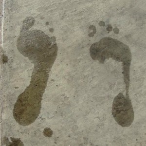 watery footprints in cement side by side