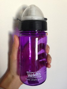 welch's purple nalgene bottle