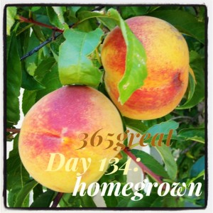 365great challenge day 134: homegrown