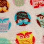 fuzzy cloth with colorful owl design